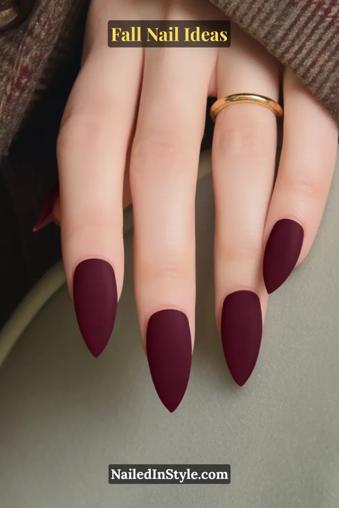 Fall Nail Ideas: 21 Gorgeous Looks to Try Now 15 Long stiletto nails painted in a rich oxblood burgundy with a soft matte velvet finish, styled with a wool coat and gold ring.